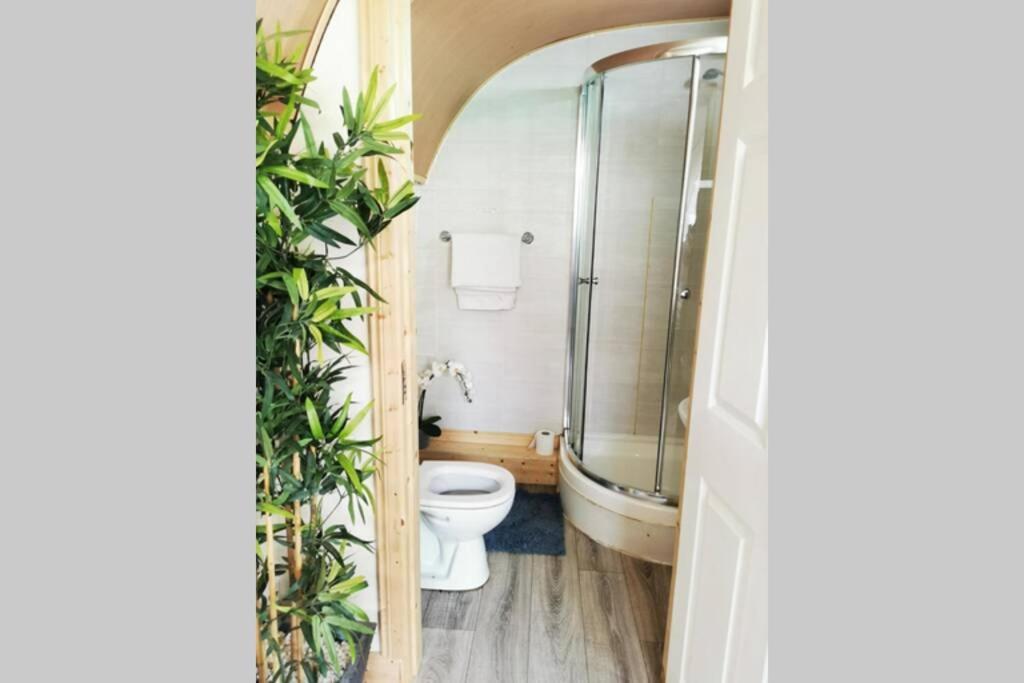 Lazy Lodge Glamping Pod With Hot Tub Port Laoise Bagian luar foto