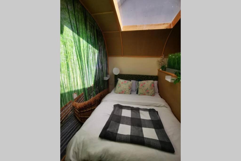 Lazy Lodge Glamping Pod With Hot Tub Port Laoise Bagian luar foto